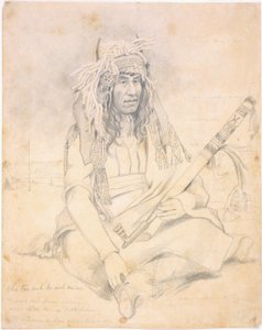 Lille kråke, 1851